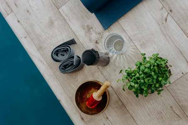 Un Voyage d'An dans le Bio : Révélations et Leçons de Vie au Quotidien